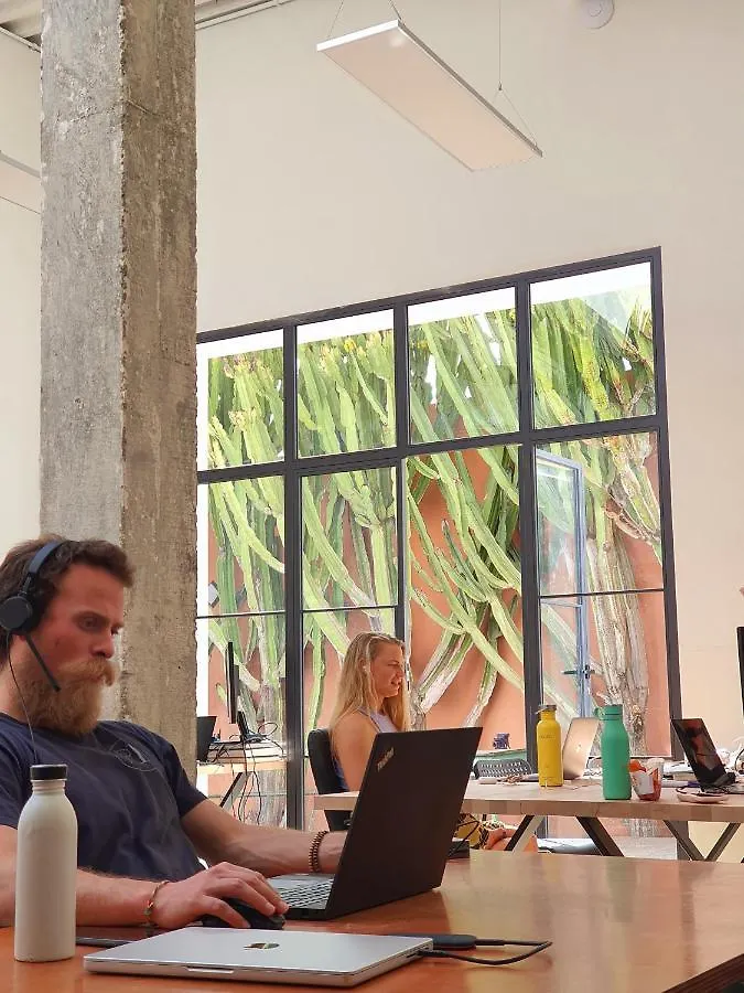 Cactus Coliving & Coworking Bed & Breakfast Arona