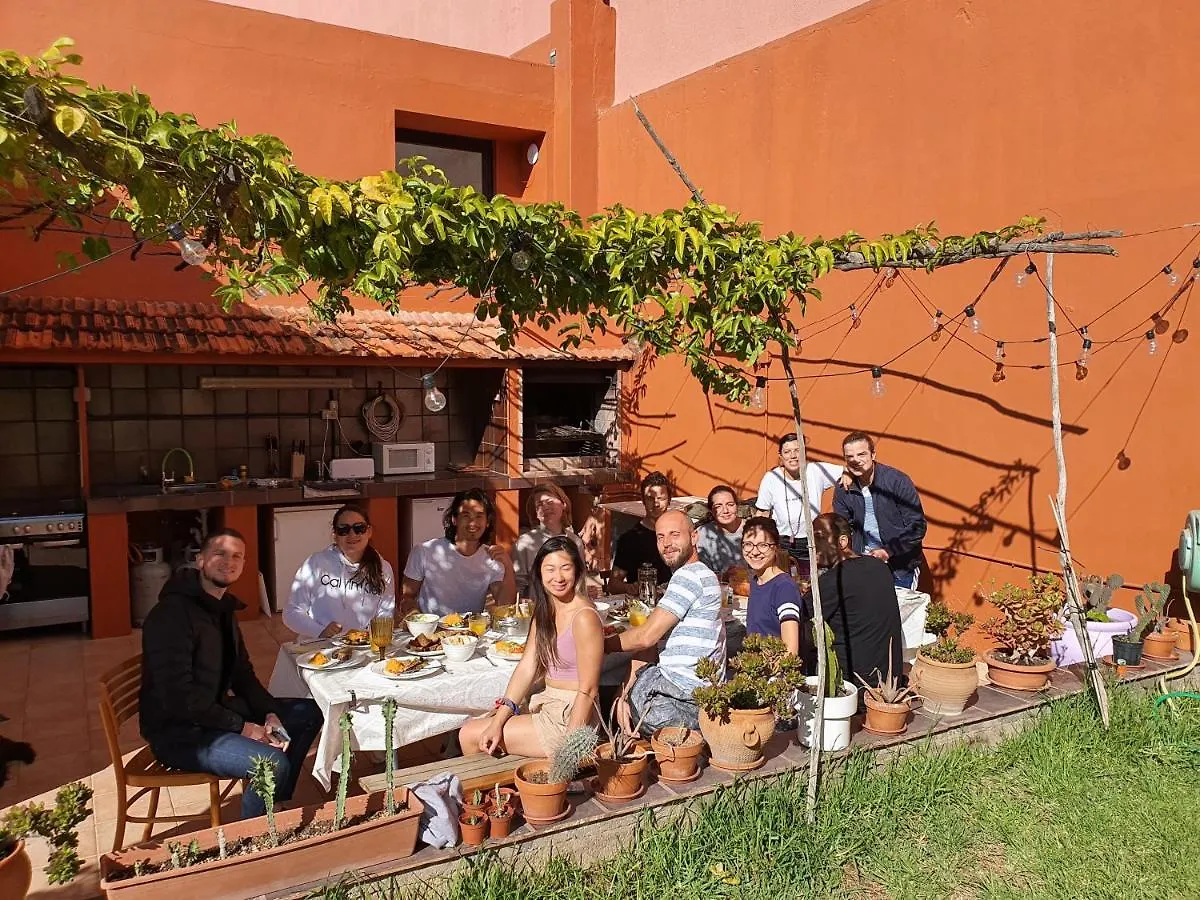 Cactus Coliving & Coworking Bed & Breakfast Arona  Spain